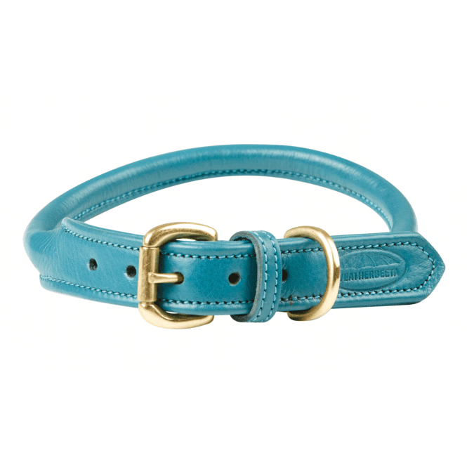 Weatherbeeta  Rolled Leather Dog Collar - Teal