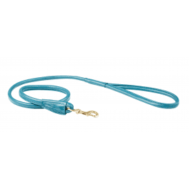 Weatherbeeta Rolled Leather Dog Lead - Teal