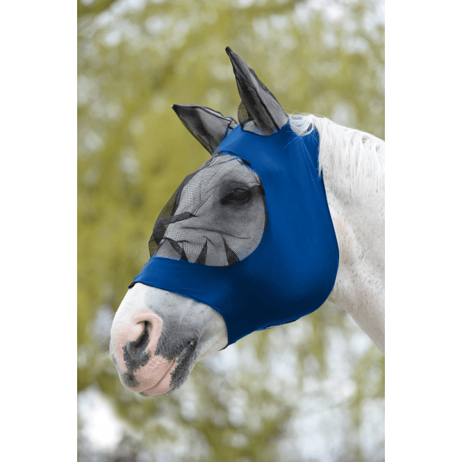 Weatherbeeta  Stretch Eye Saver With Ears - Royal Blue/Black