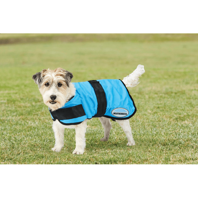 Weatherbeeta  Therapy-Tec Cooling Dog Coat - Blue